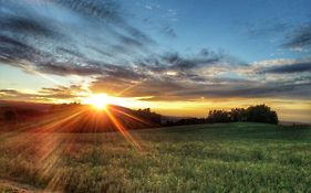 Zum Pieck Schwarzenberg